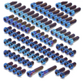 SURRON LIGHT BEE TITANIUM BOLT KIT